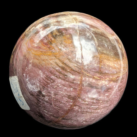 Petrified Wood Redwood sphere 69mm 462g in sunlight - Rocks and Things Store