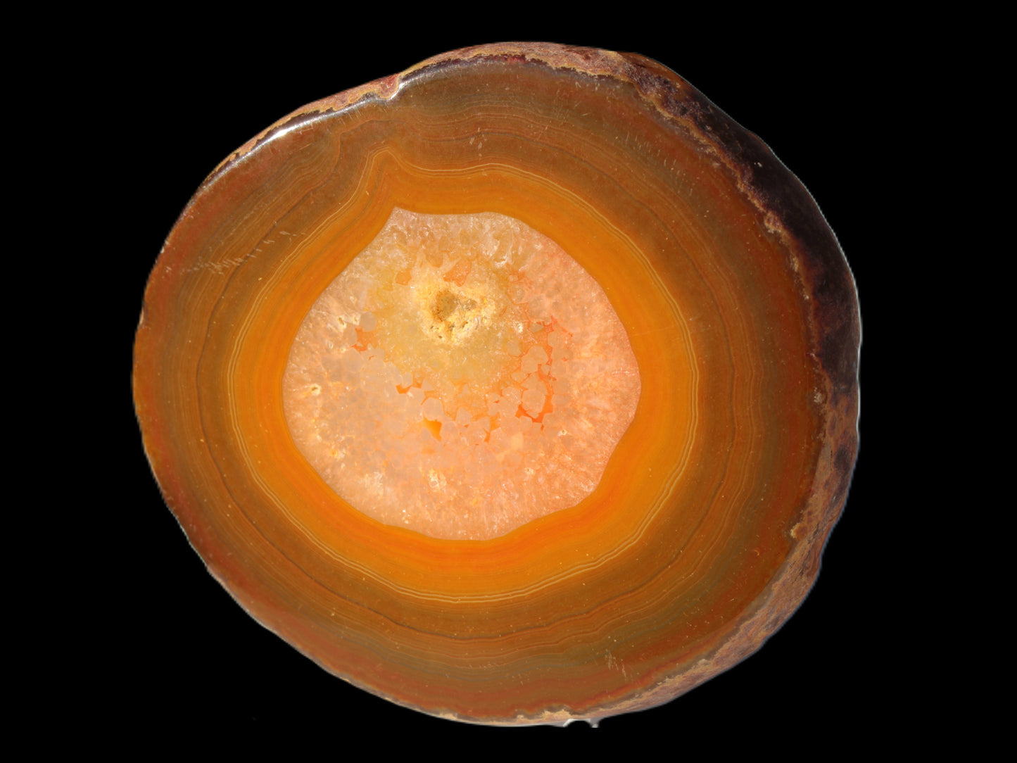 Agate banded slice 367g Rocks and Things