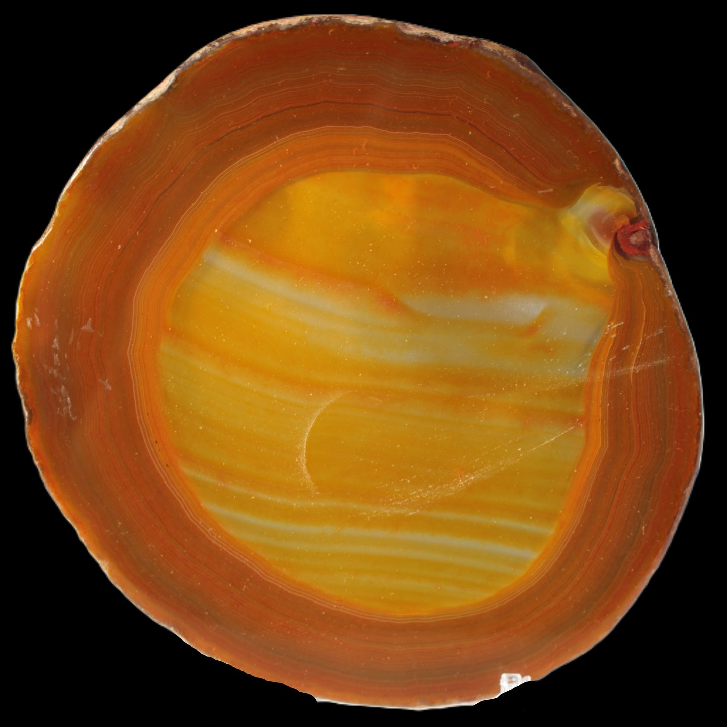 Agate banded slice 367g Rocks and Things
