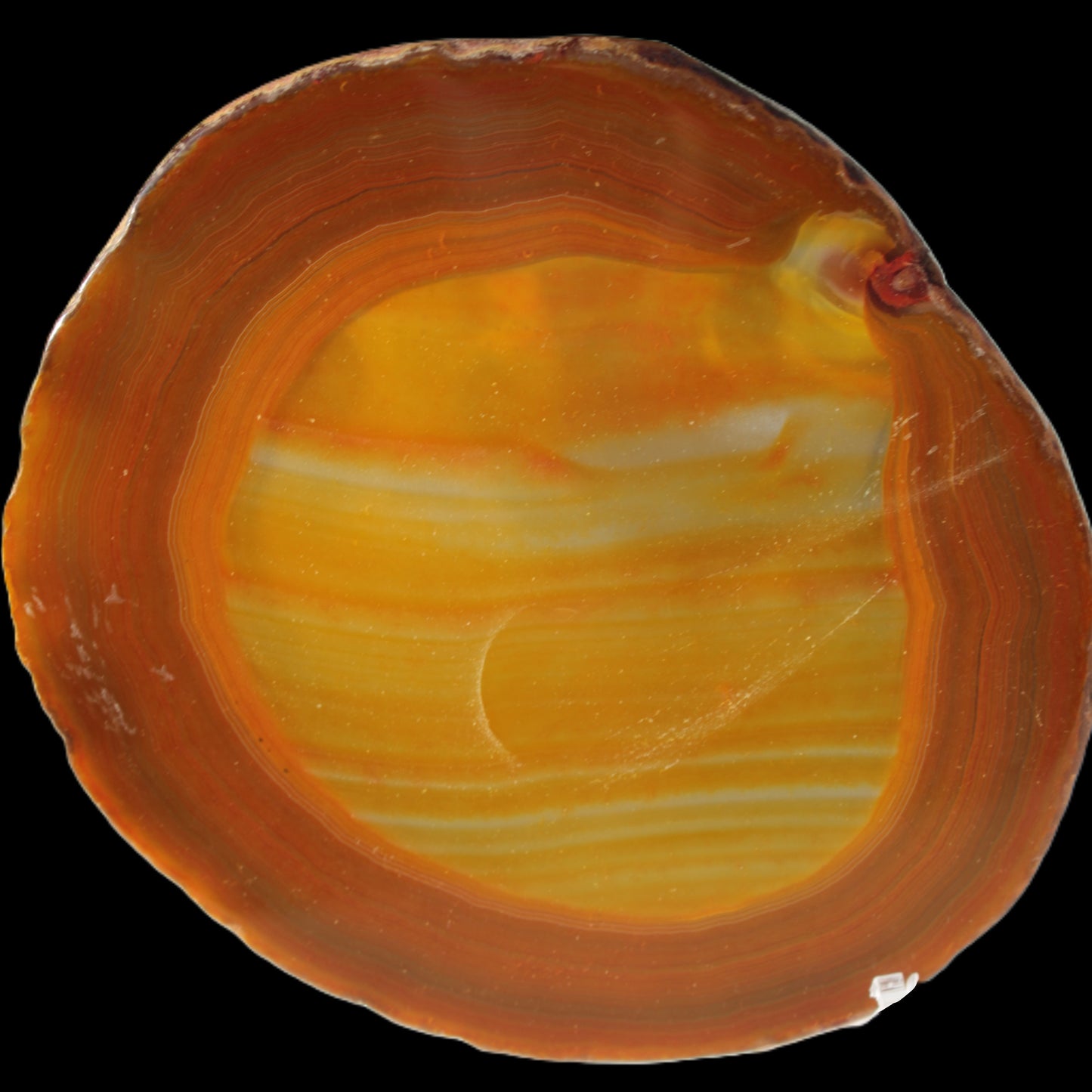 Agate banded slice 367g Rocks and Things