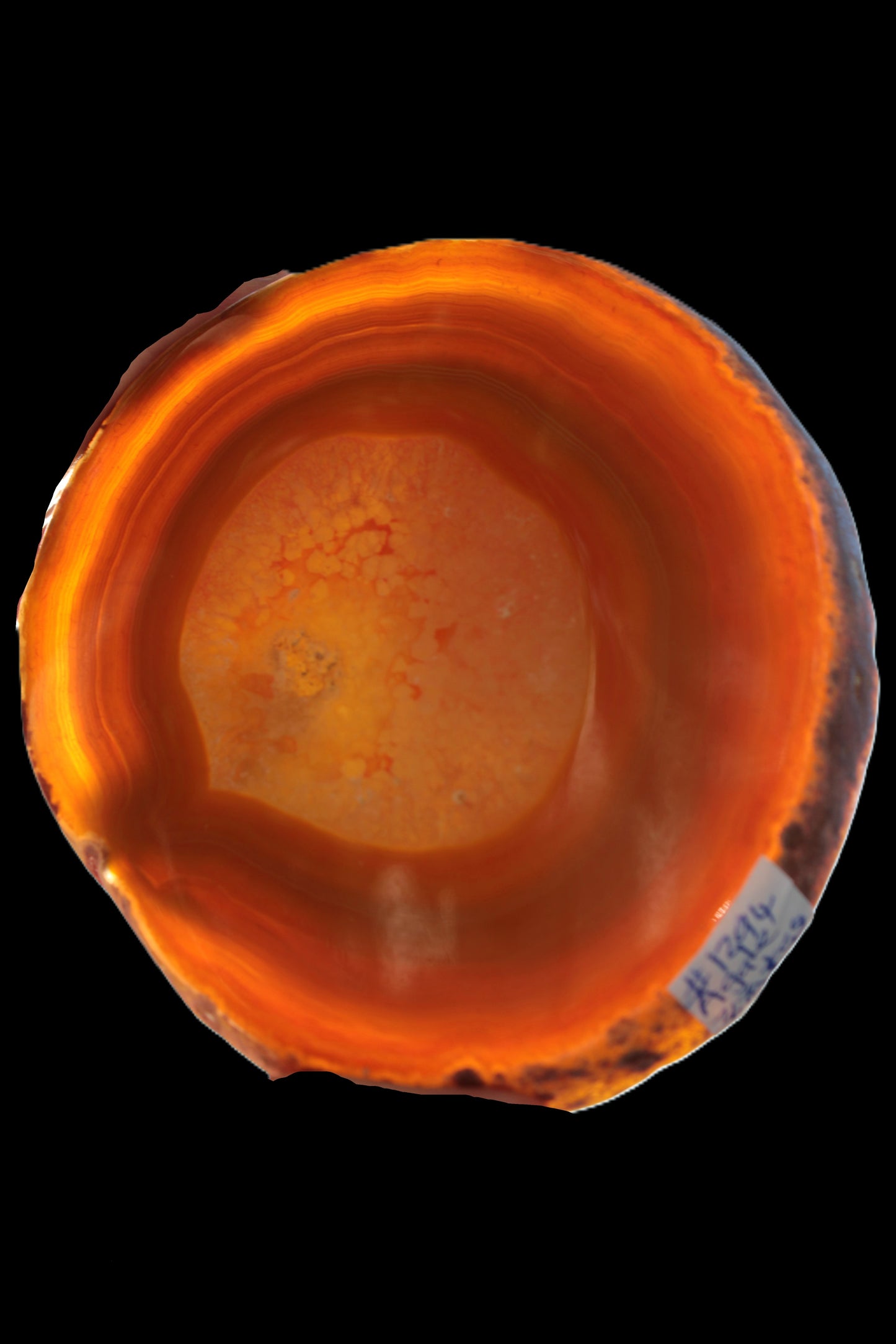 Agate banded slice 367g Rocks and Things