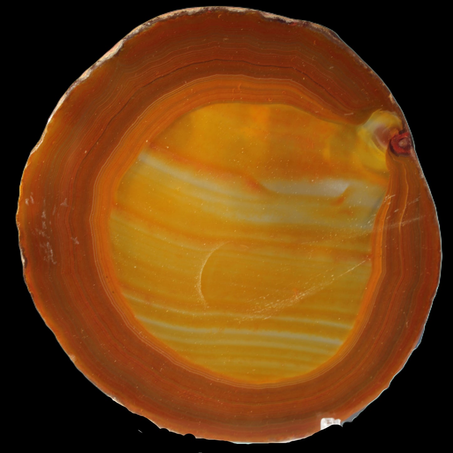 Agate banded slice 367g Rocks and Things