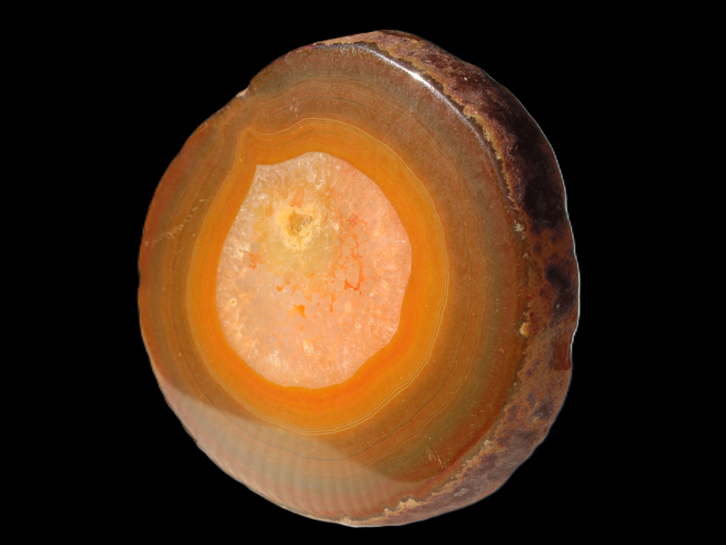 Agate banded slice 367g Rocks and Things