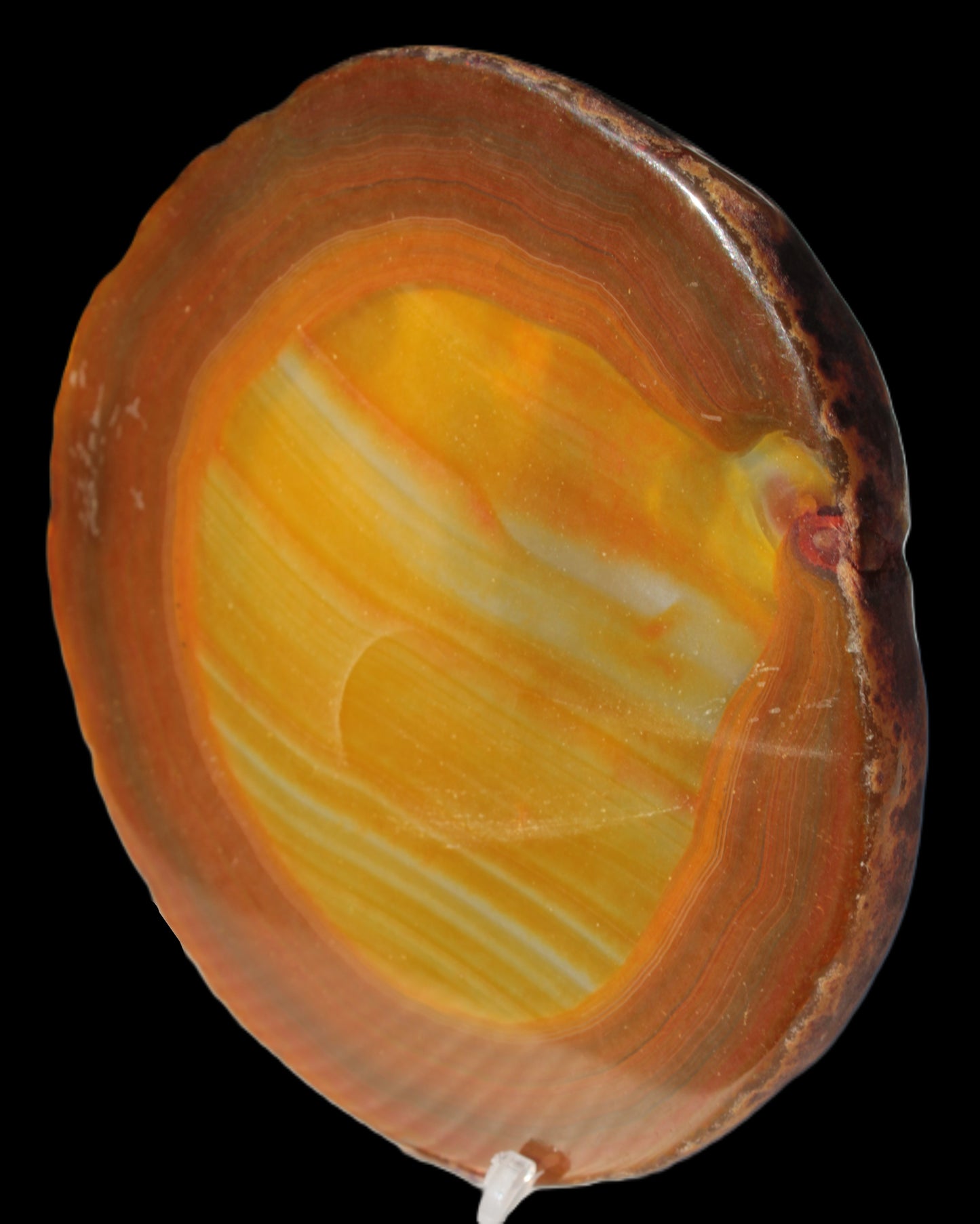 Agate banded slice 367g Rocks and Things