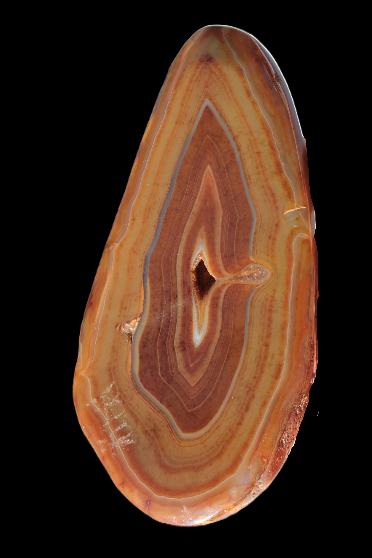 Agate banded slice 403g - Rocks and Things Store