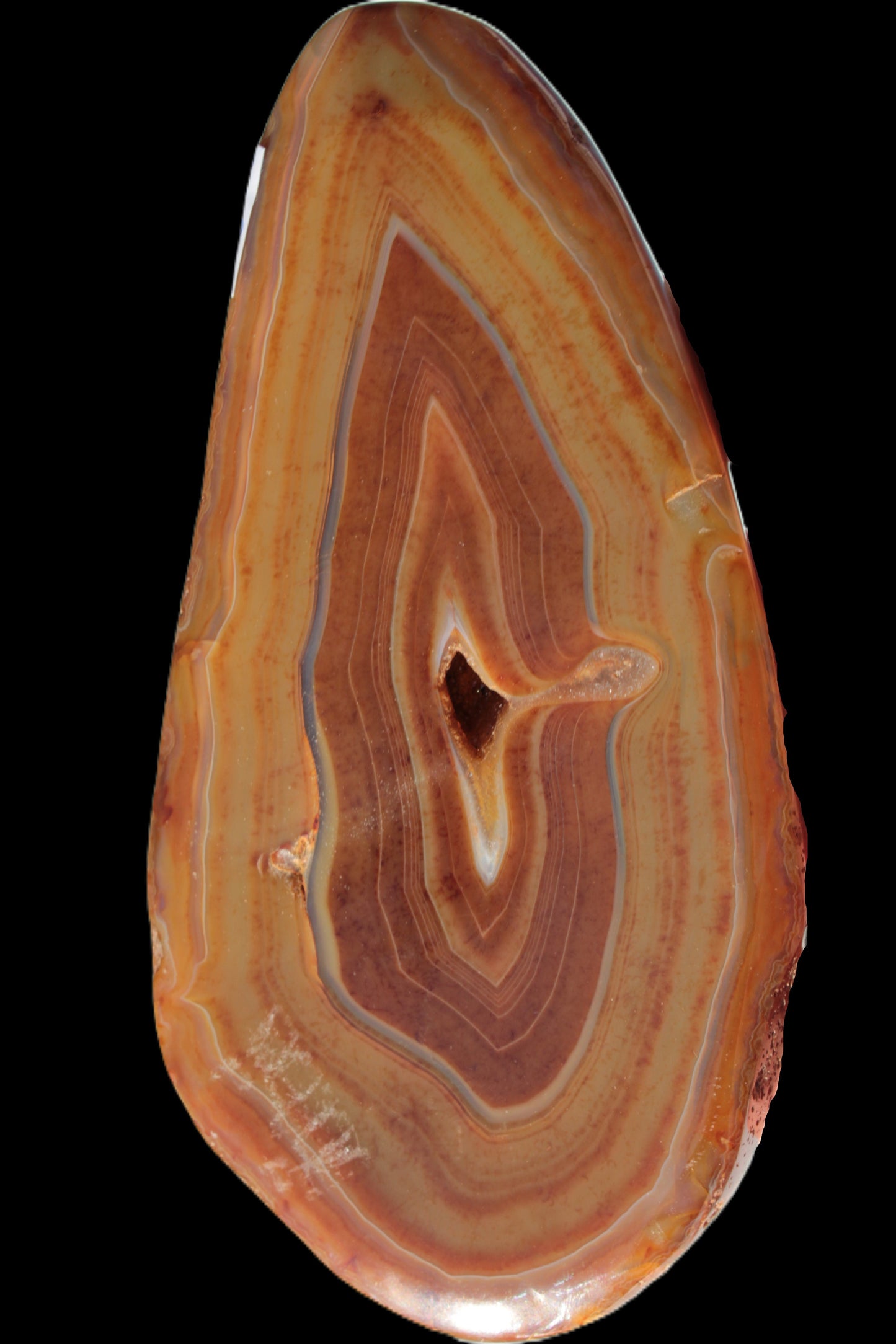 Agate banded slice 403g - Rocks and Things Store