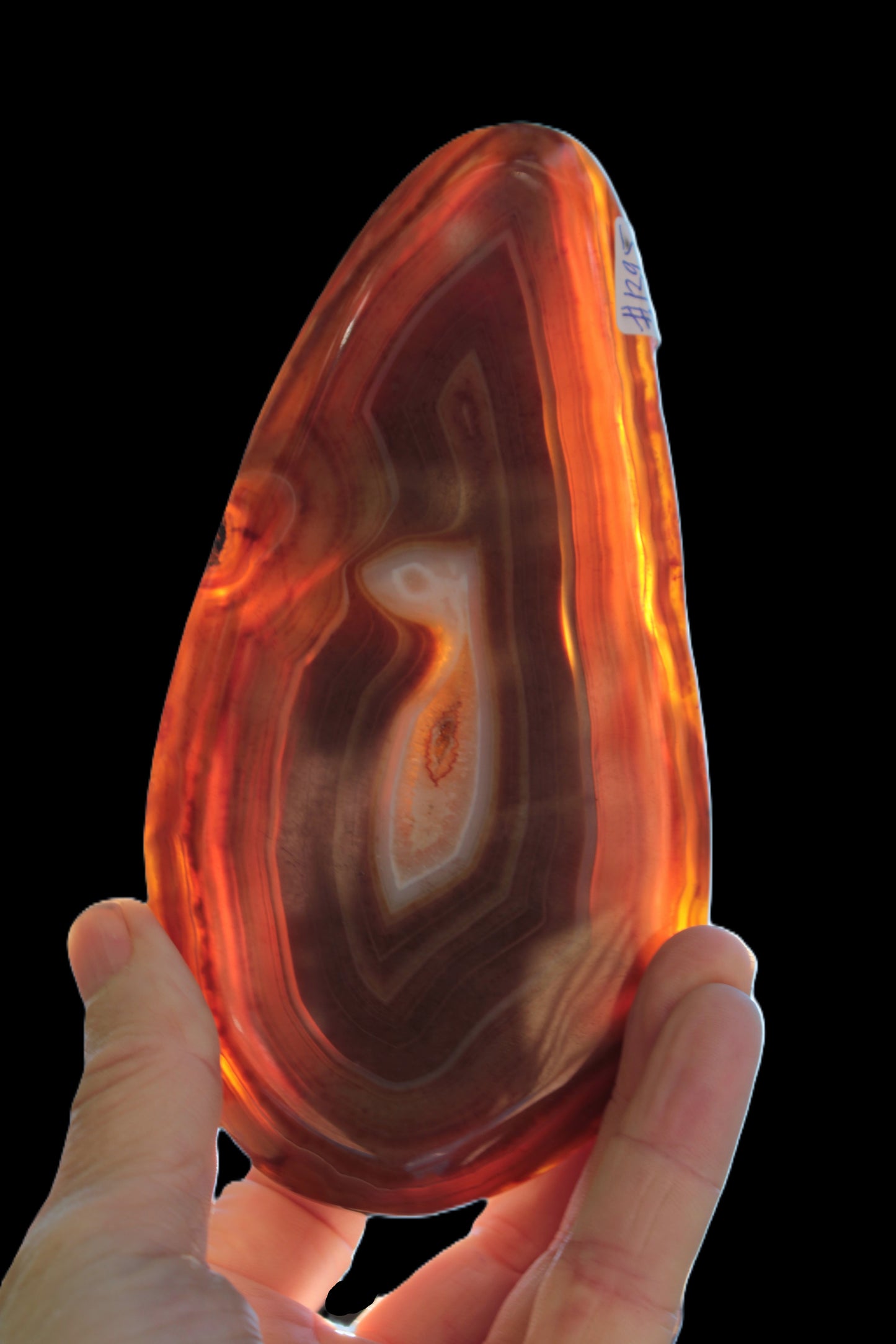 Agate banded slice 403g - Rocks and Things Store
