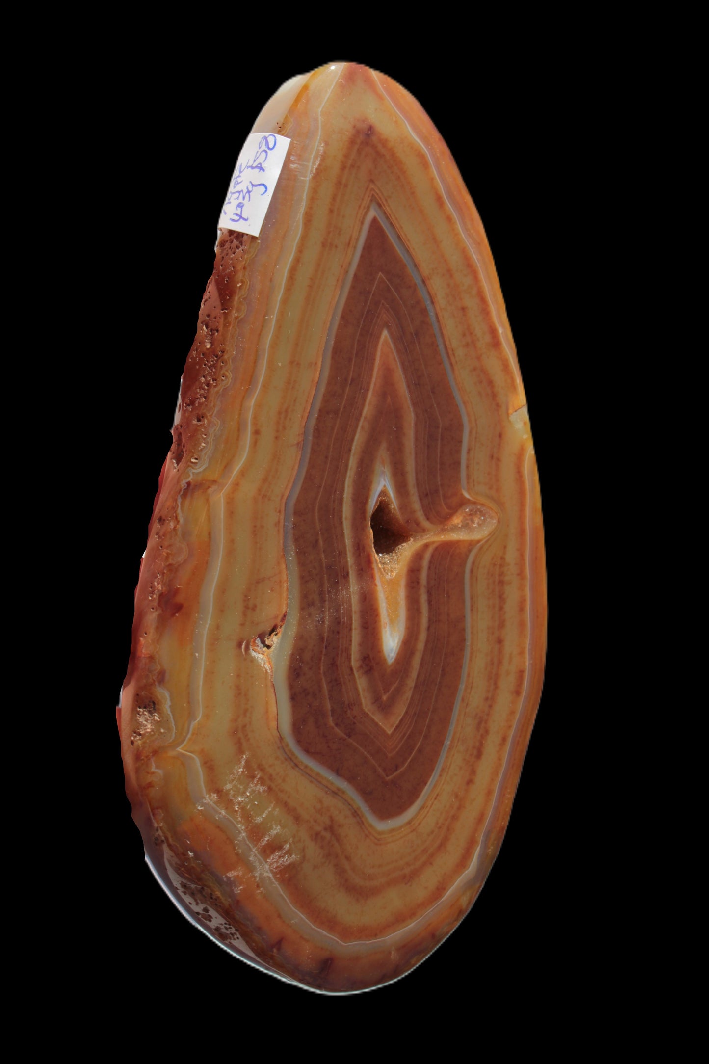 Agate banded slice 403g - Rocks and Things Store