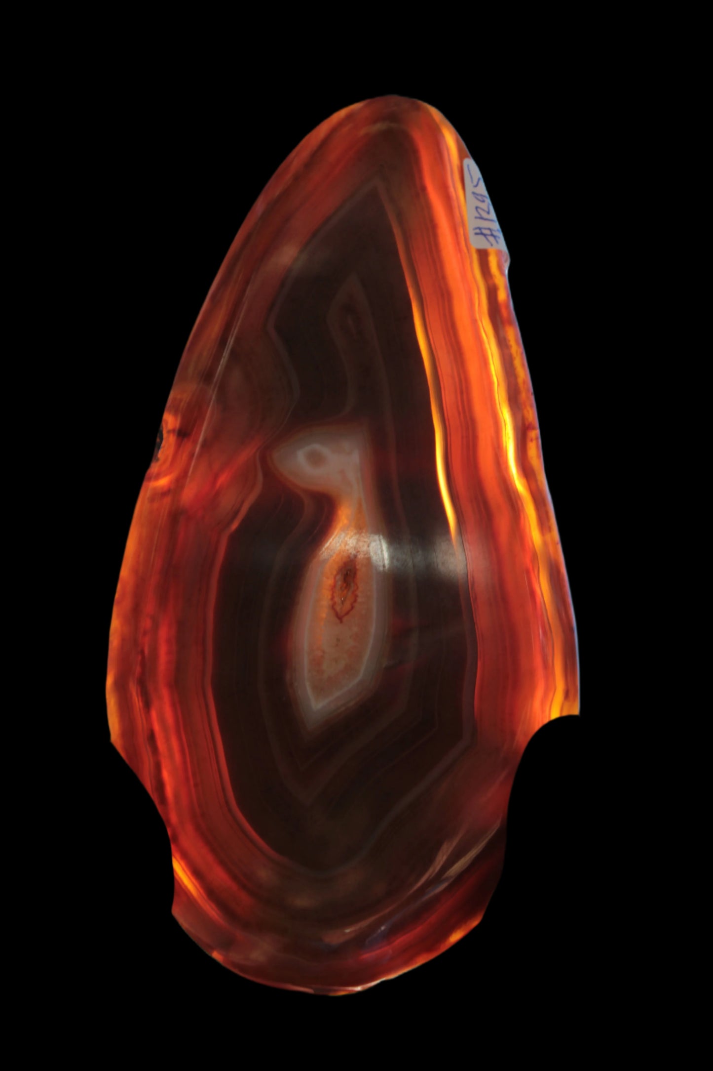 Agate banded slice 403g - Rocks and Things Store