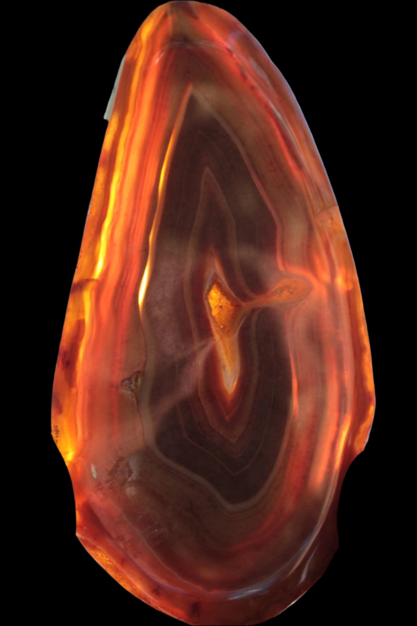 Agate banded slice 403g - Rocks and Things Store