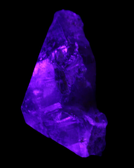 Dark Fenster Smoky Quartz 62g in UV light - Rocks and Things Store