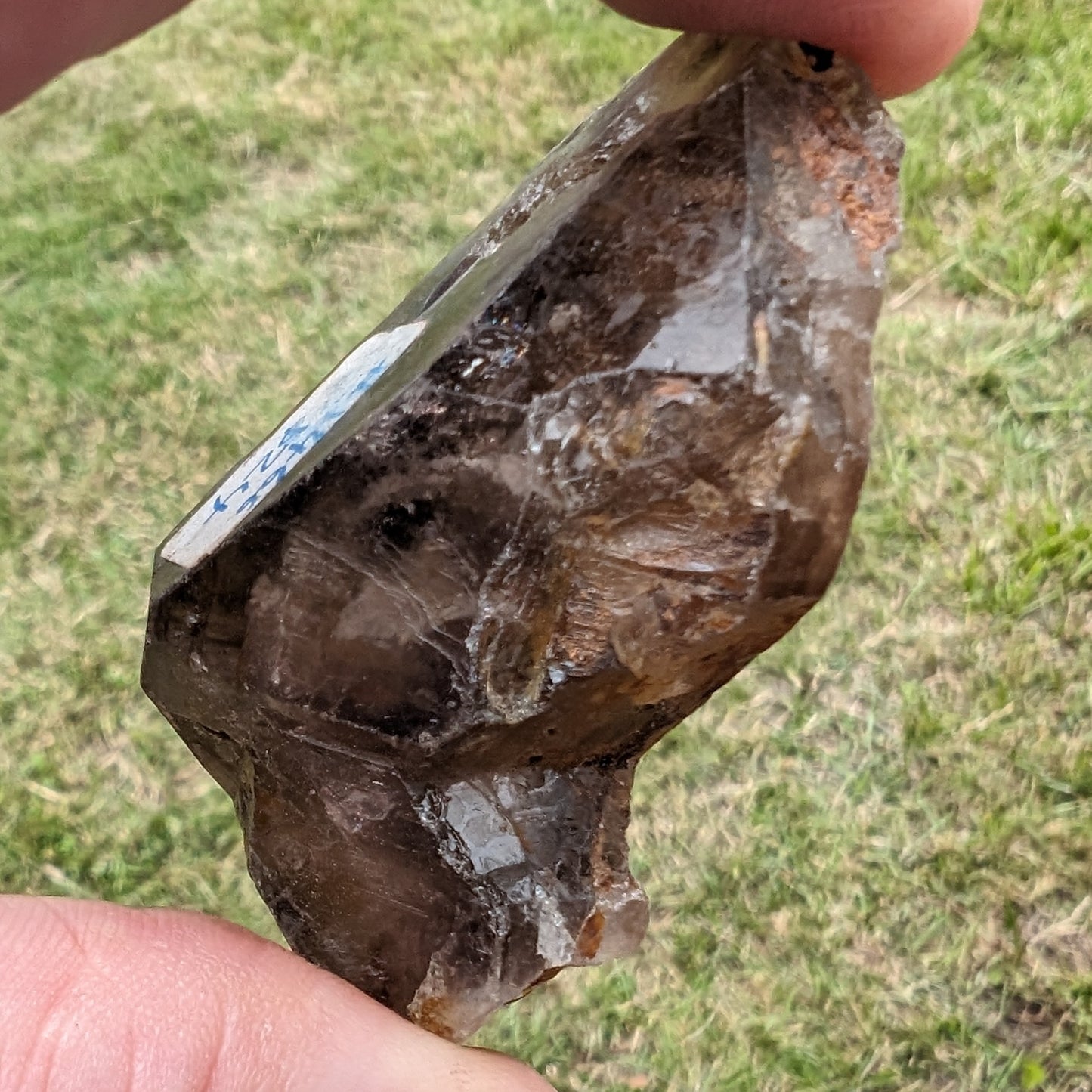 Fenster skeletal Smoky Quartz 62g Rocks and Things