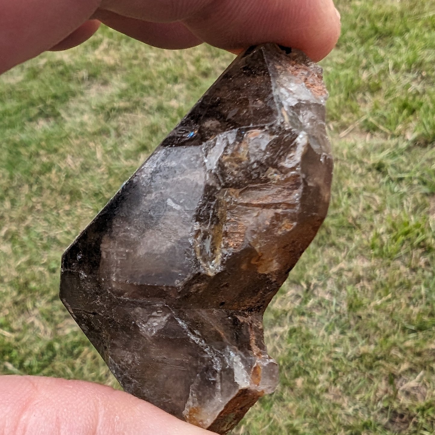 Fenster skeletal Smoky Quartz 62g Rocks and Things