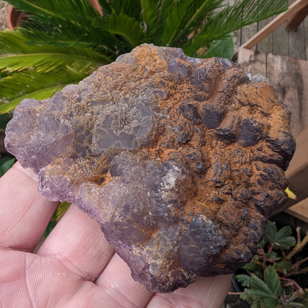 Violet Fluorite cluster 233g Rocks and Things
