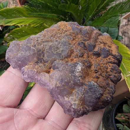 Violet Fluorite cluster 233g Rocks and Things