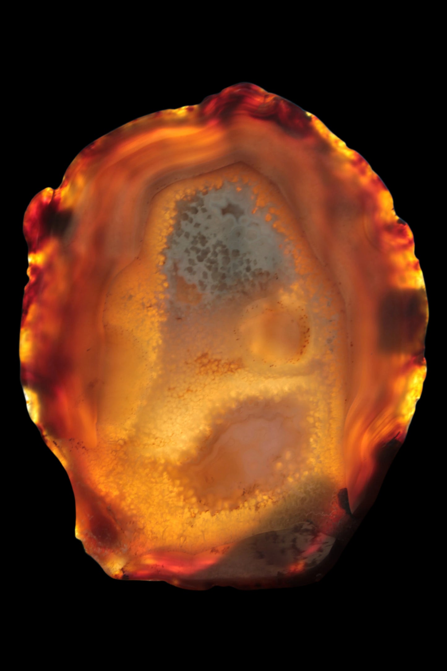 Agate geode slice 546g - Rocks and Things Store