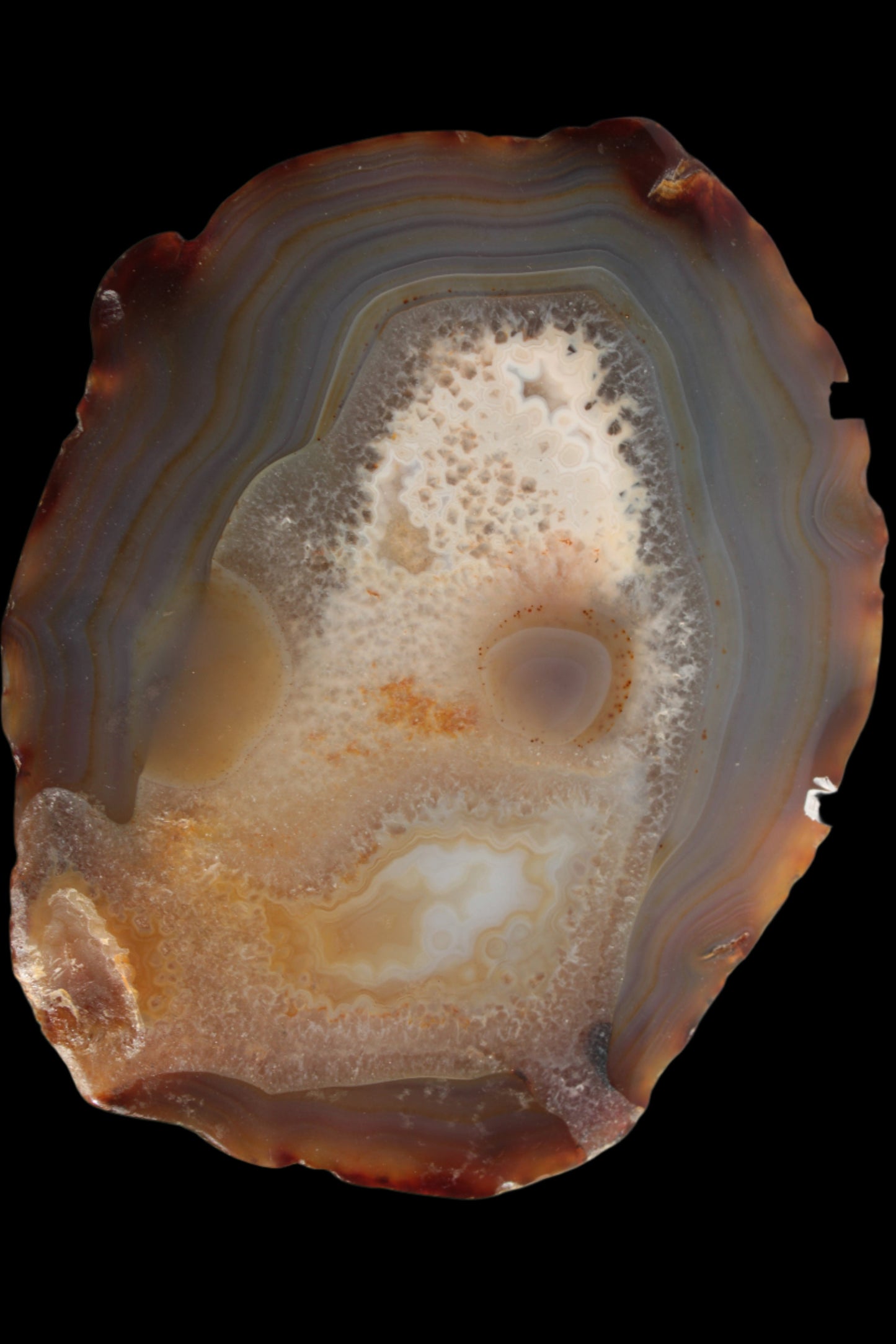 Agate geode slice 546g - Rocks and Things Store