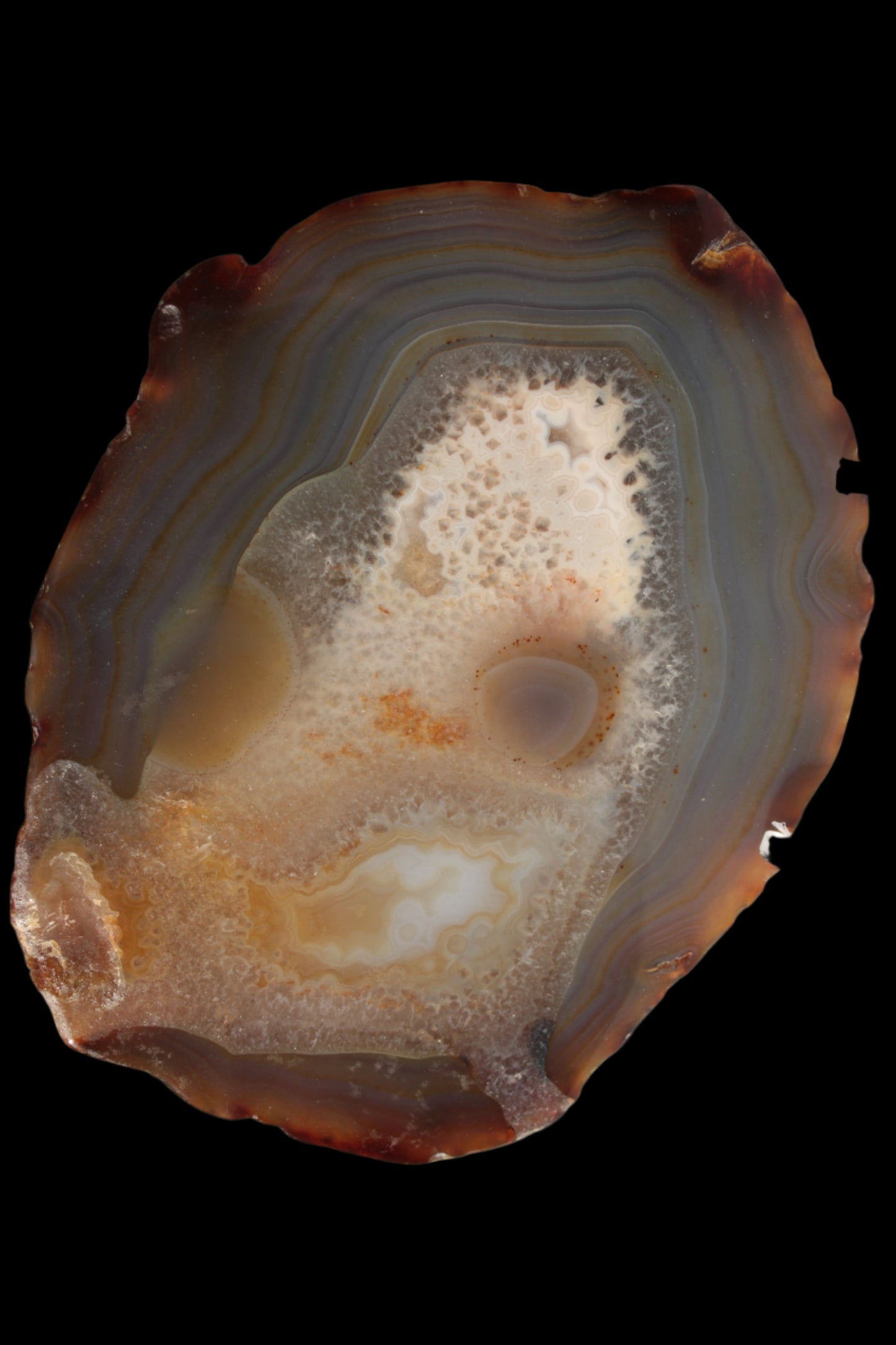 Agate geode slice 546g - Rocks and Things Store