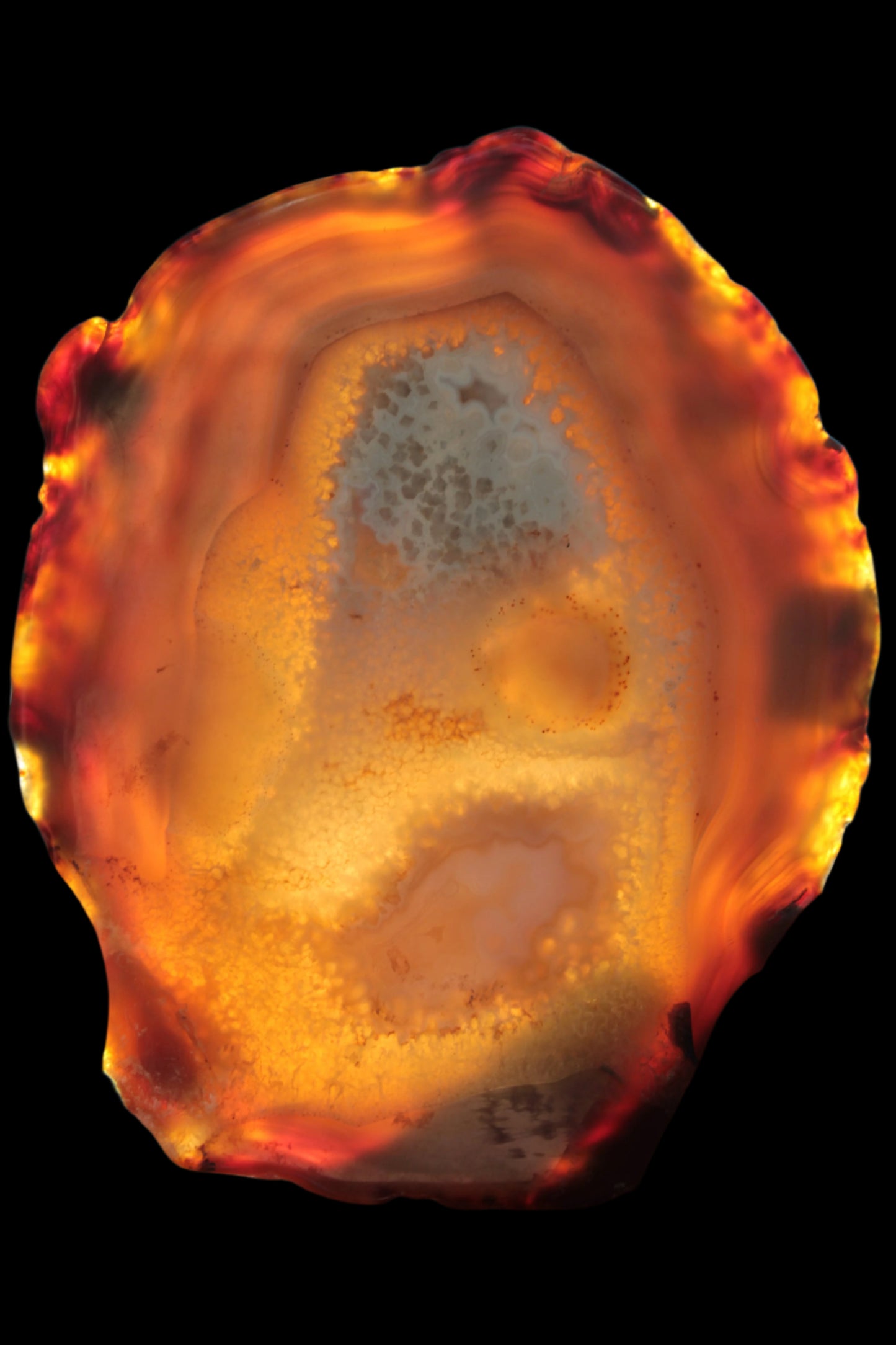 Agate geode slice 546g - Rocks and Things Store