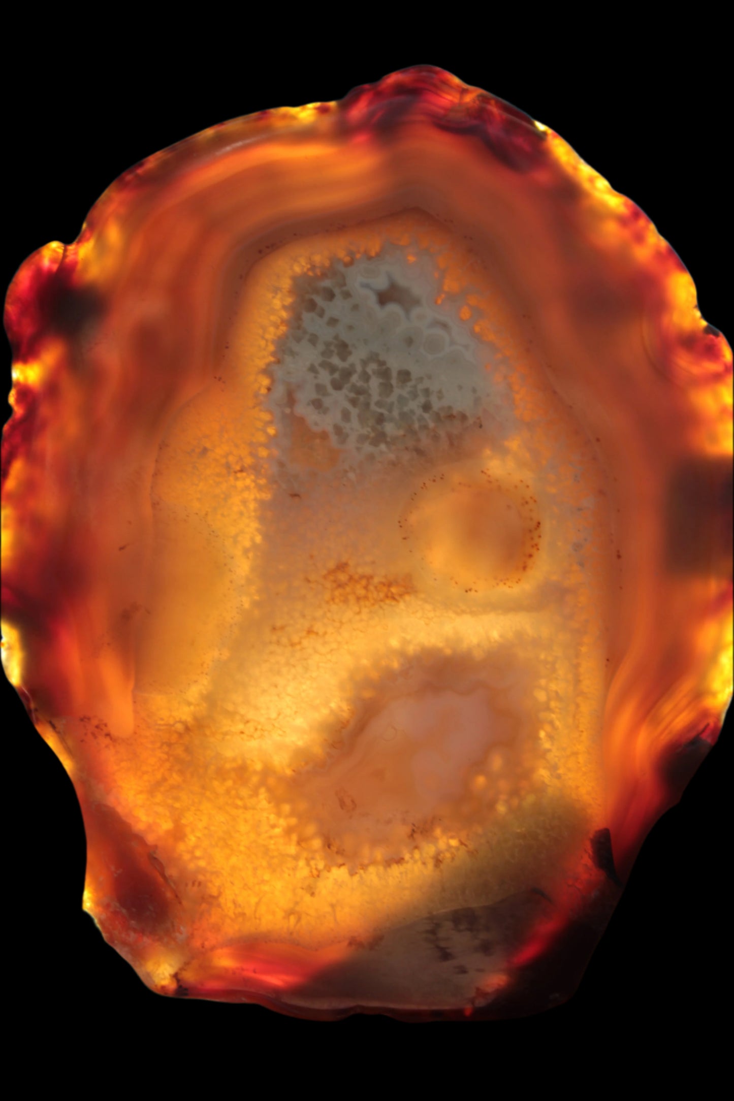 Agate geode slice 546g - Rocks and Things Store
