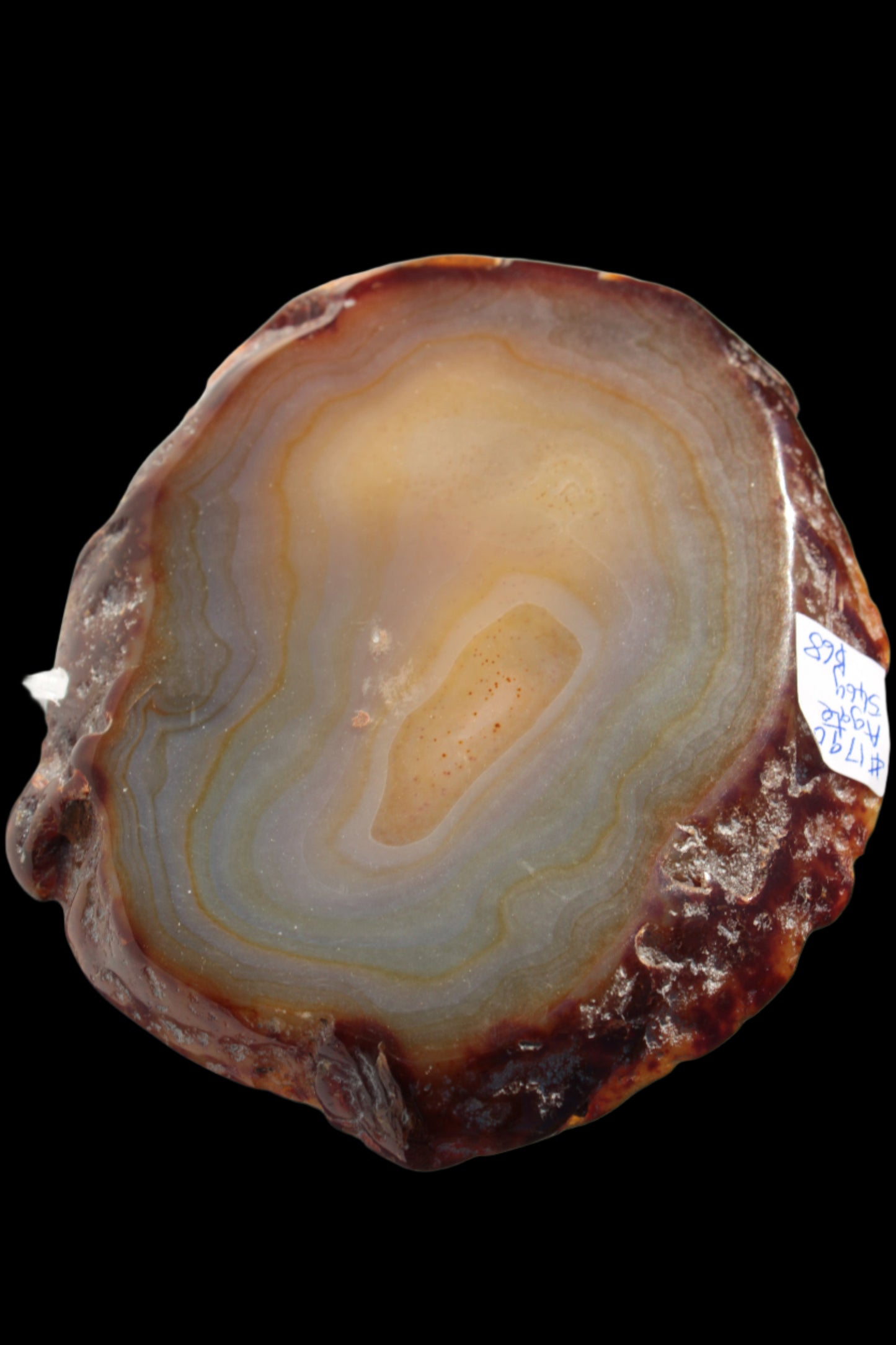 Agate geode slice 546g - Rocks and Things Store