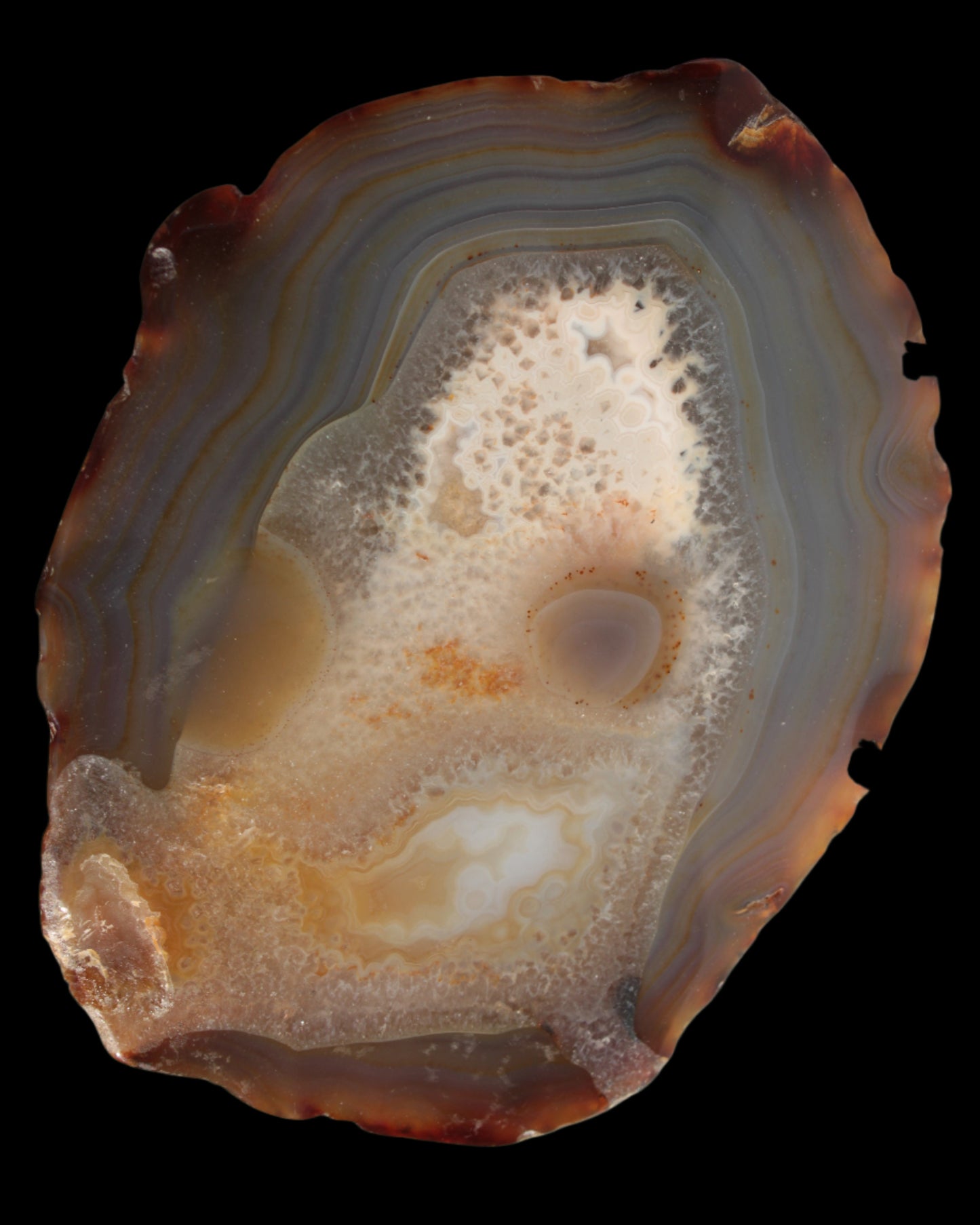 Agate geode slice 546g - Rocks and Things Store