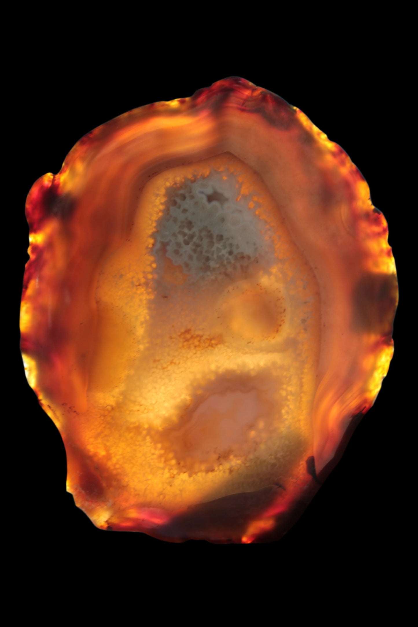 Agate geode slice 546g - Rocks and Things Store