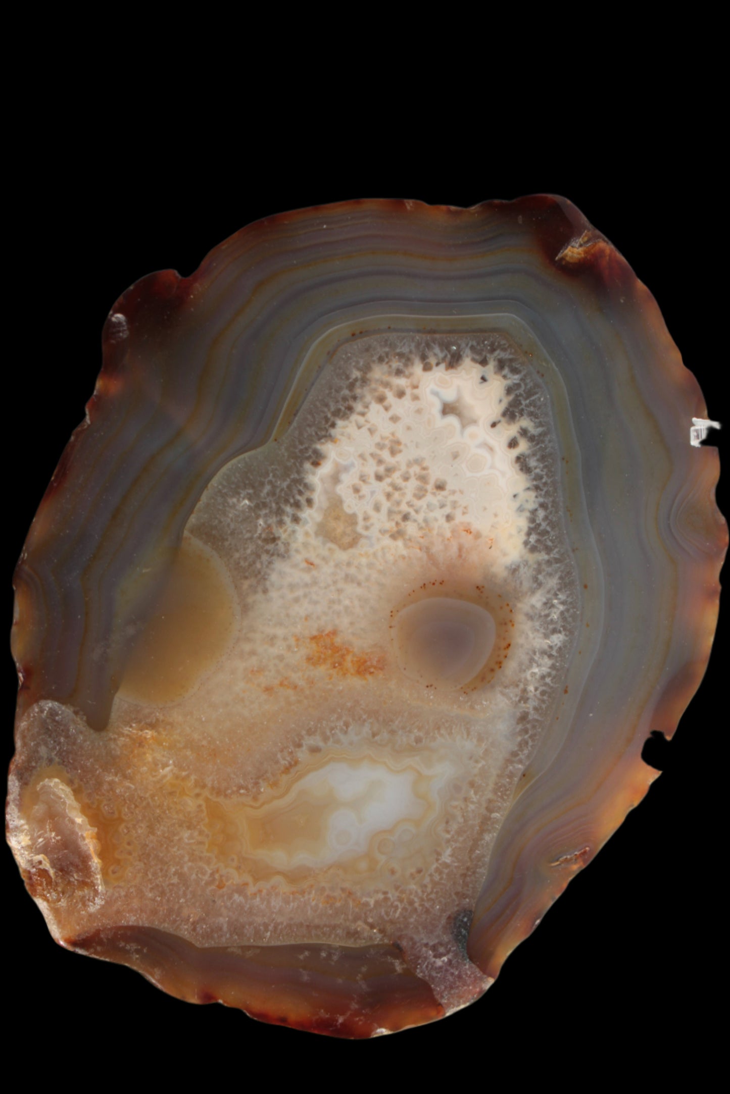 Agate geode slice 546g - Rocks and Things Store
