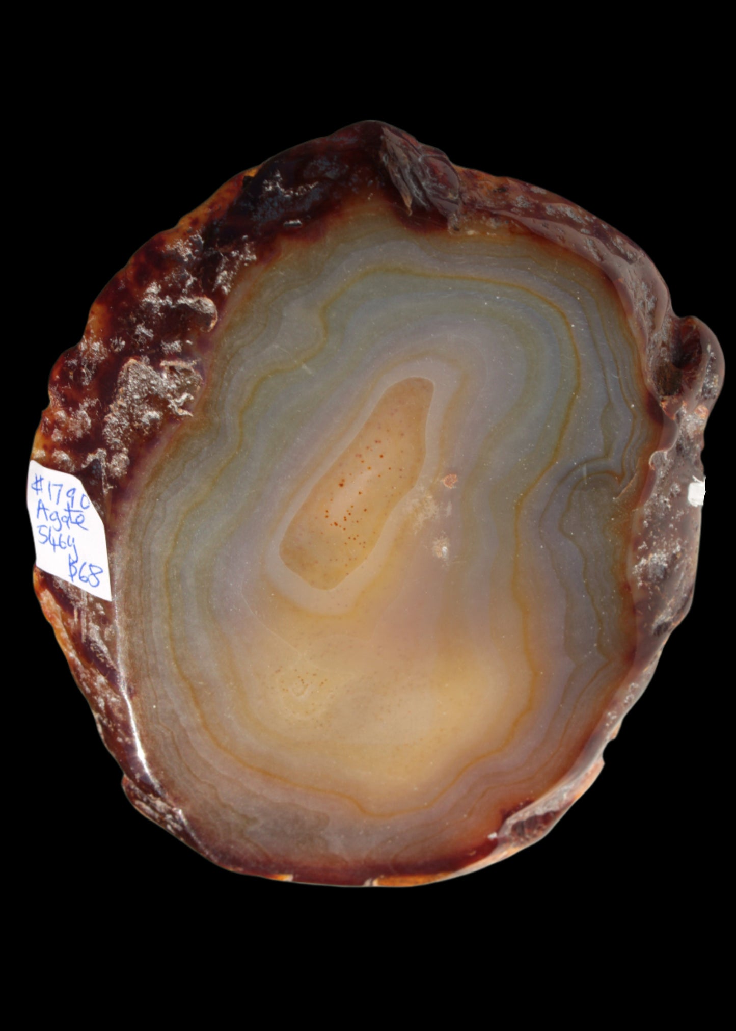 Agate geode slice 546g - Rocks and Things Store