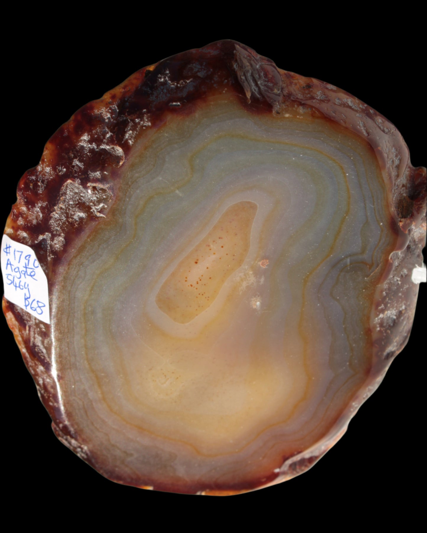 Agate geode slice 546g - Rocks and Things Store