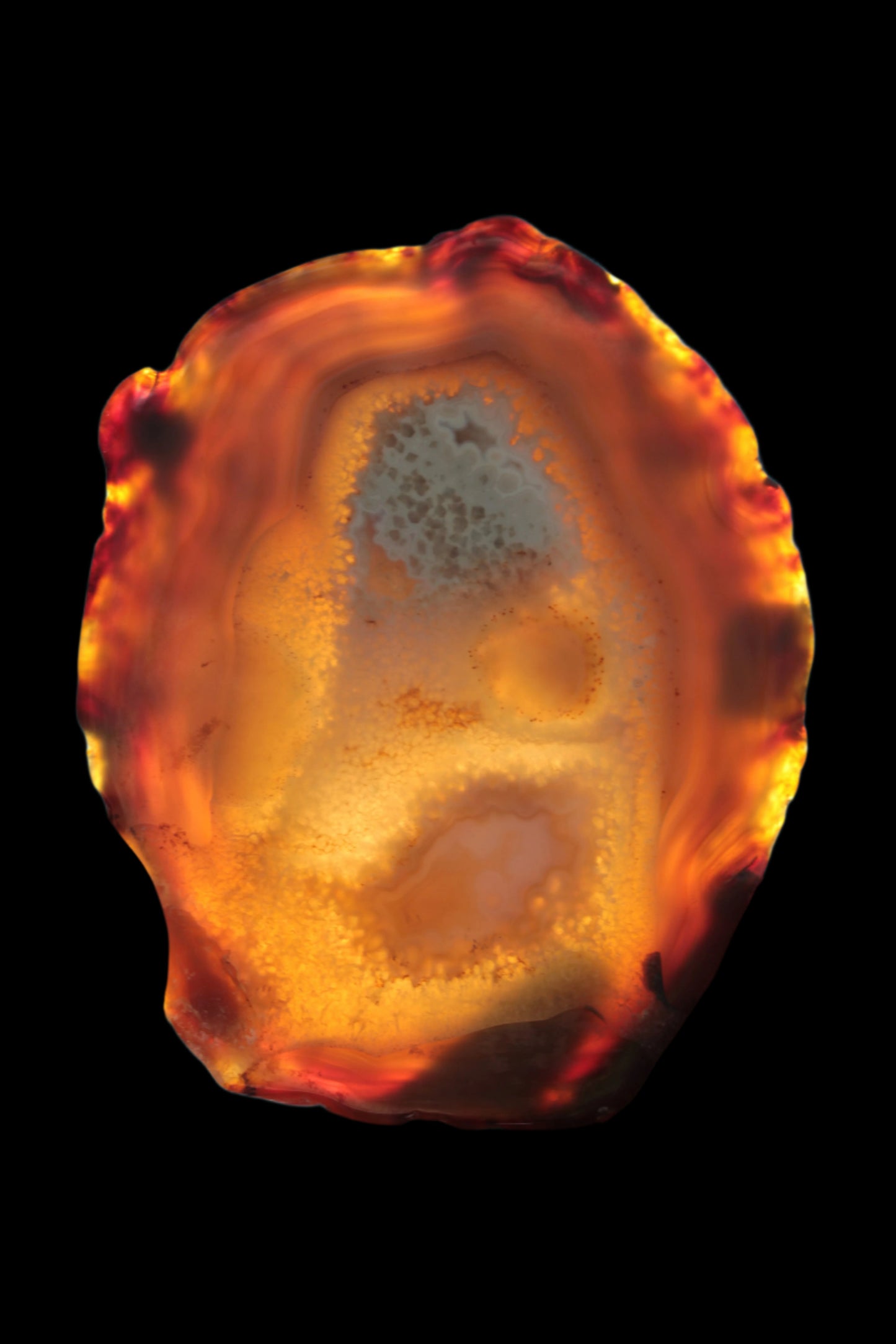 Agate geode slice 546g - Rocks and Things Store