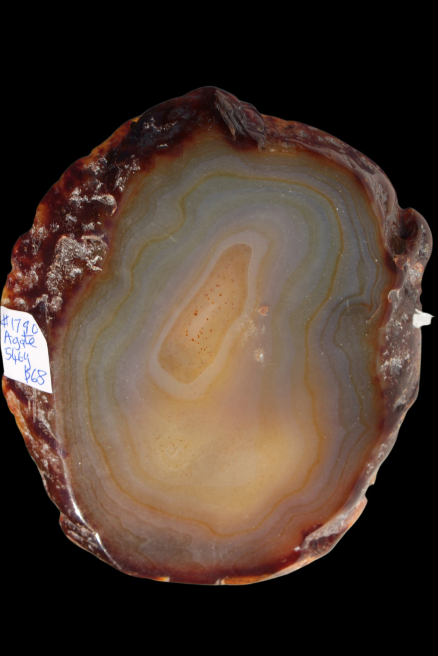 Agate geode slice 546g Rocks and Things