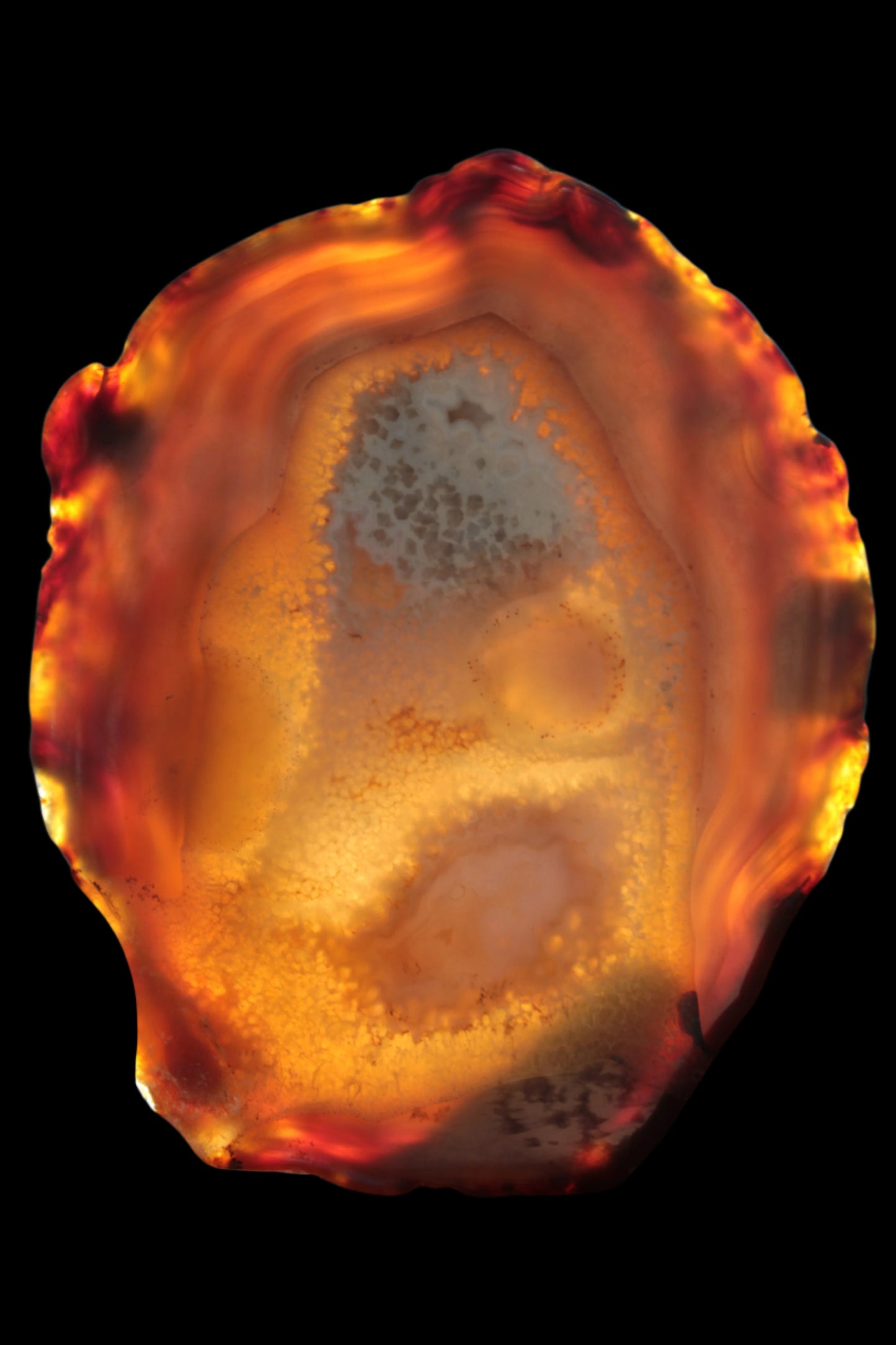 Agate geode slice 546g - Rocks and Things Store