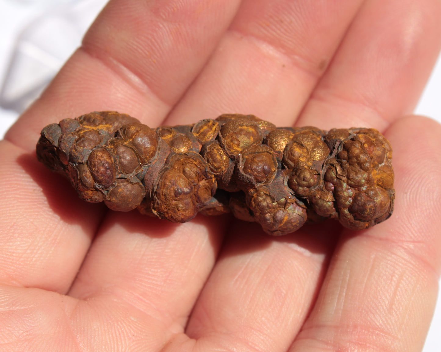 Rainbow grape Hematite 20g Rocks and Things