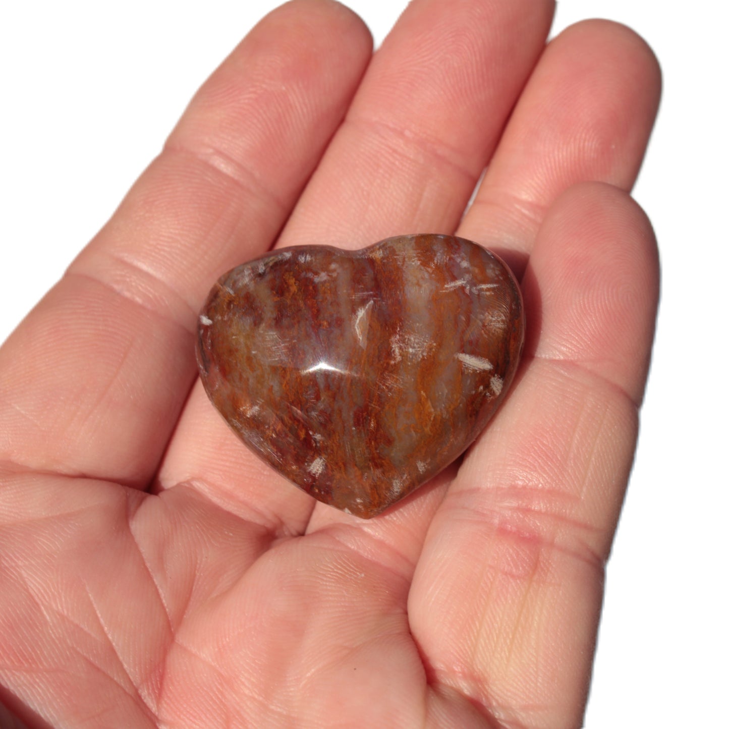 Petrified Wood heart 35mm 24g Rocks and Things