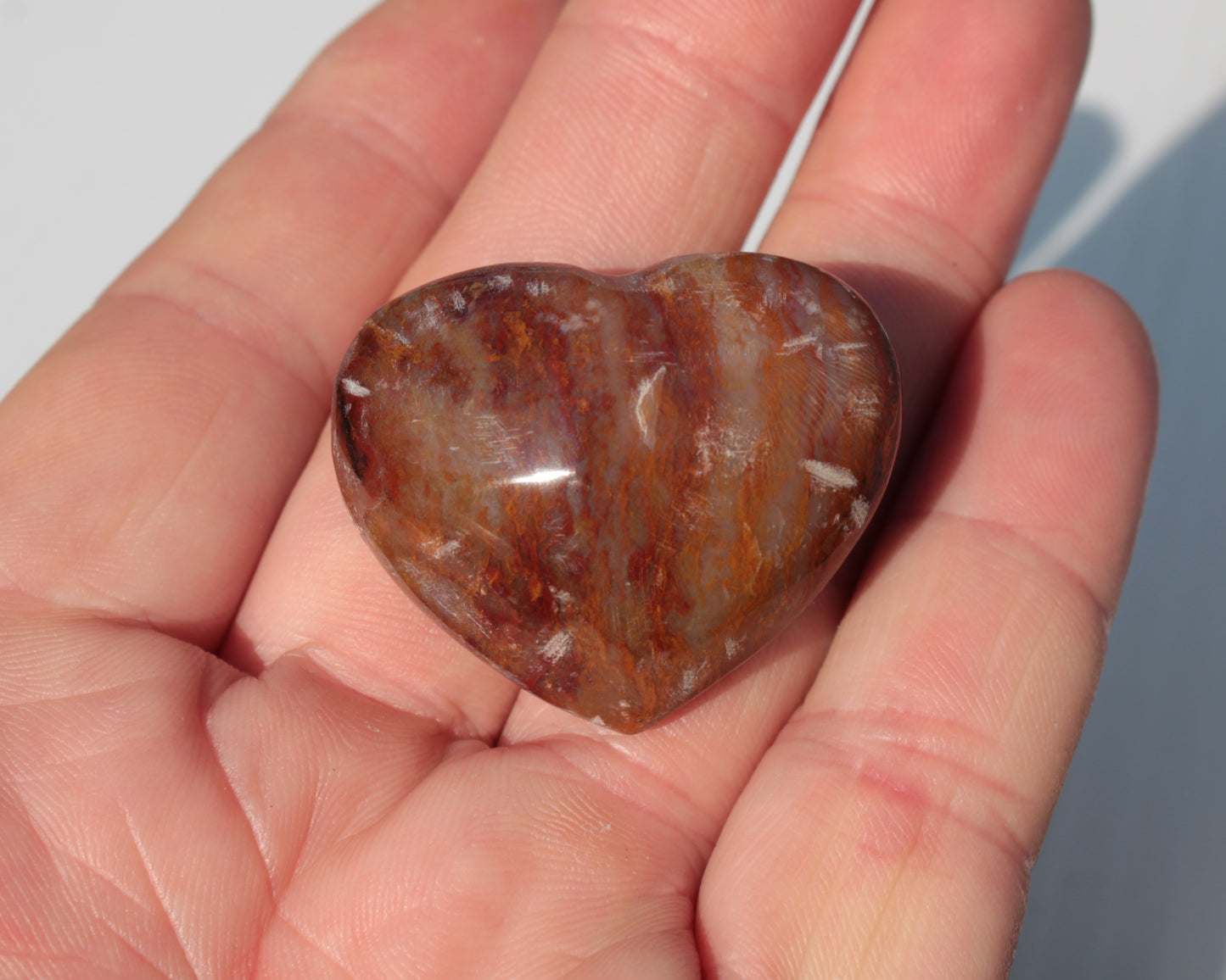 Petrified Wood heart 35mm 24g Rocks and Things