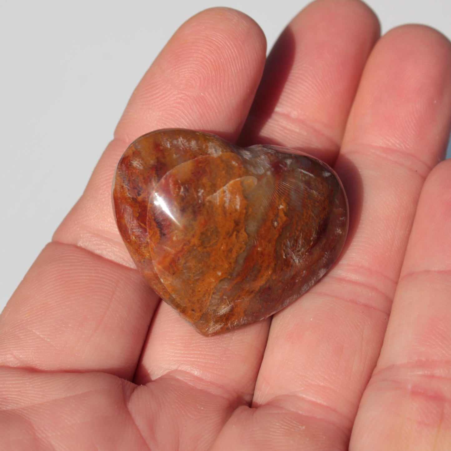 Petrified Wood heart 35mm 24g Rocks and Things