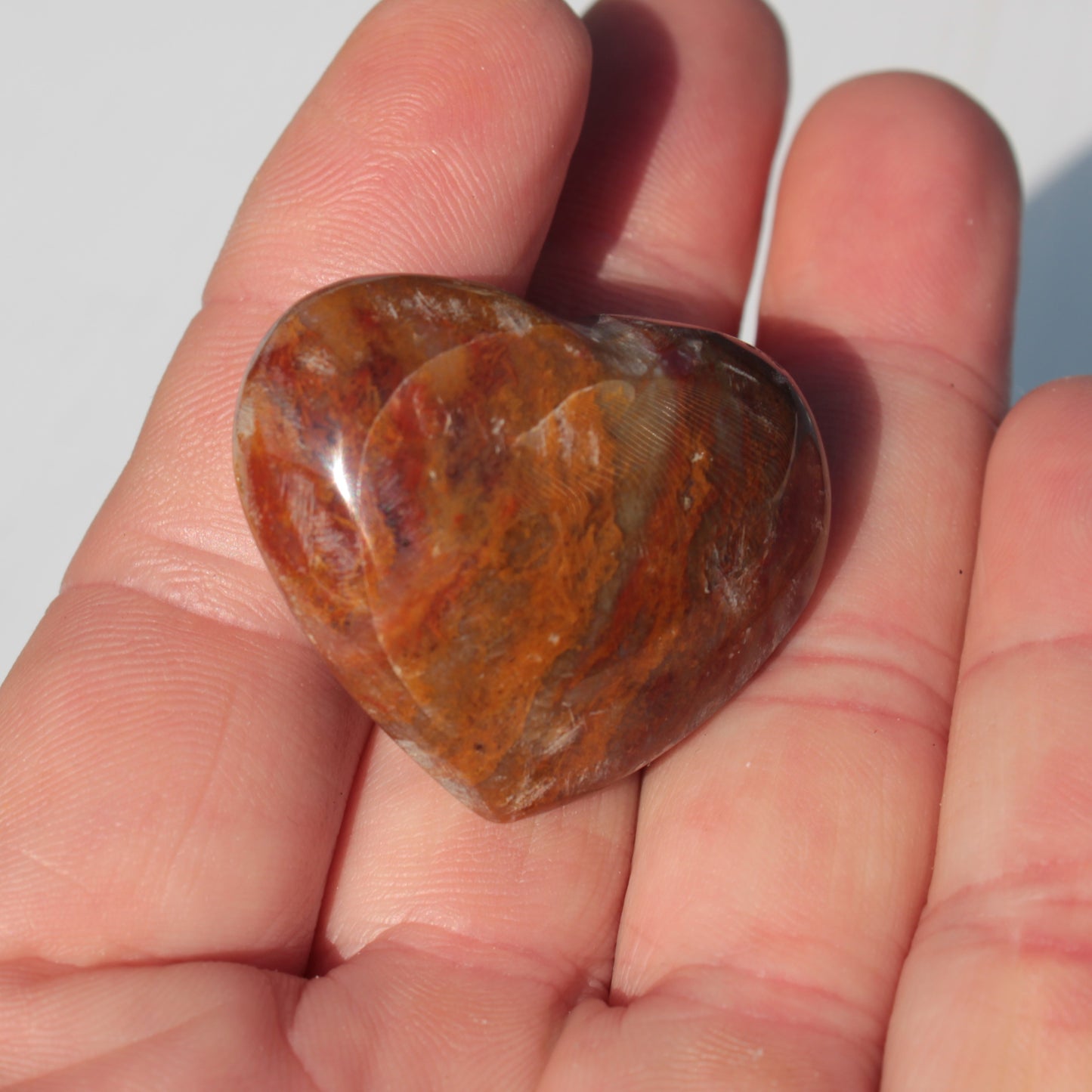Petrified Wood heart 35mm 24g Rocks and Things