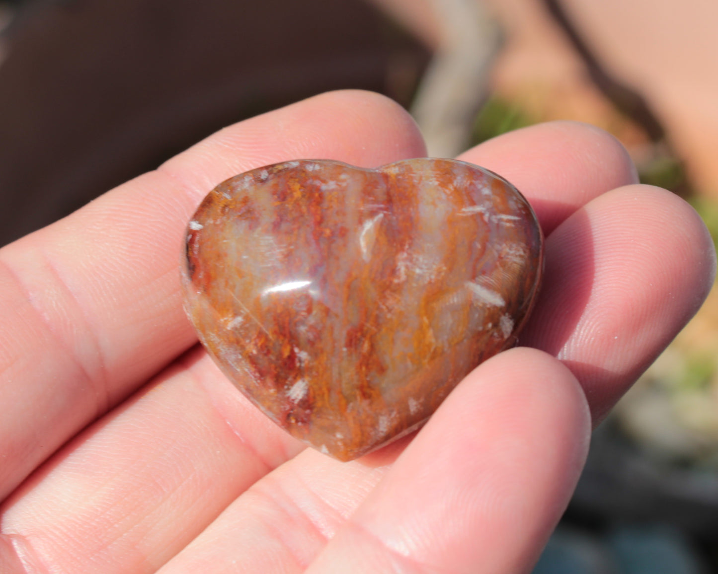 Petrified Wood heart 35mm 24g Rocks and Things