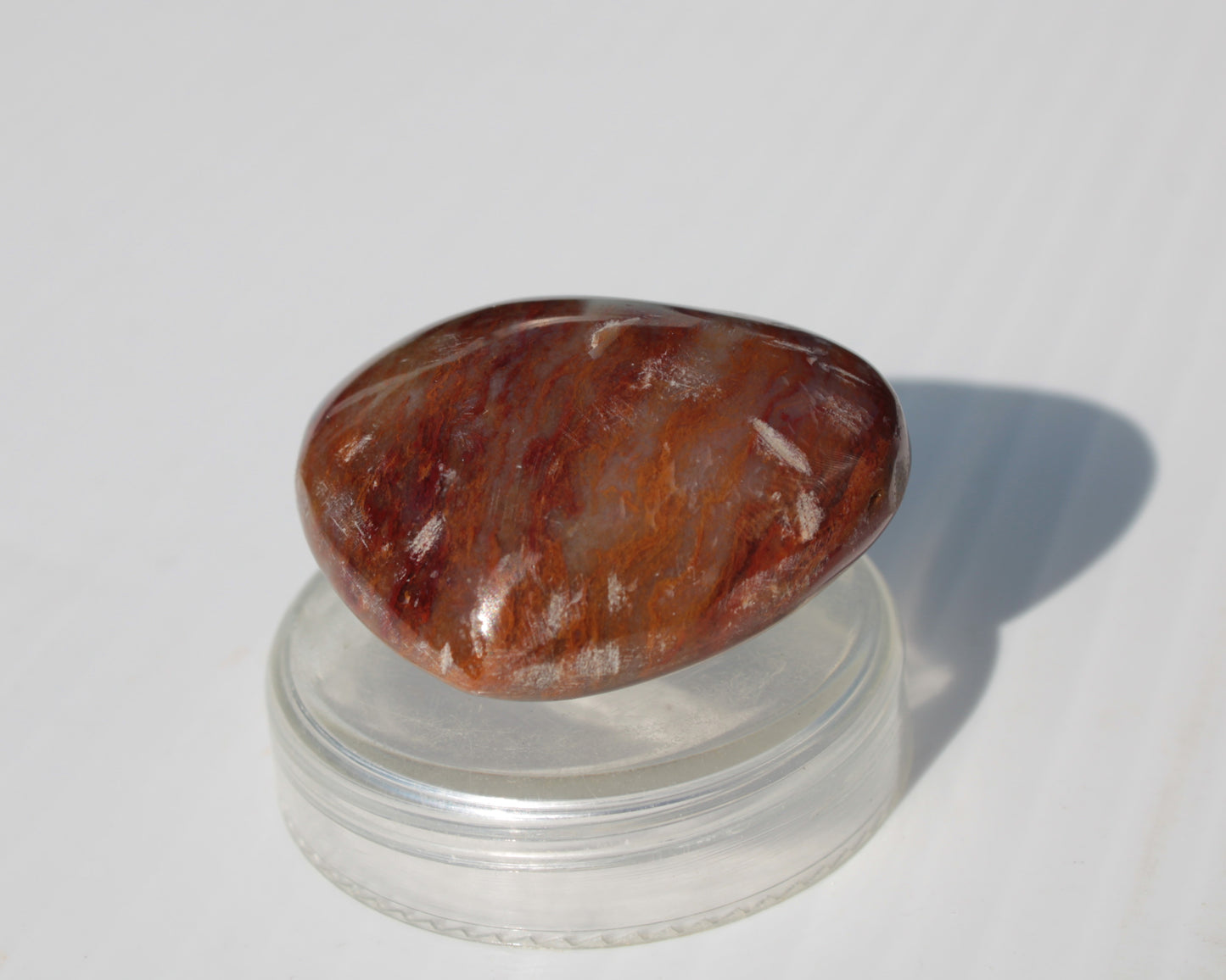 Petrified Wood heart 35mm 24g Rocks and Things