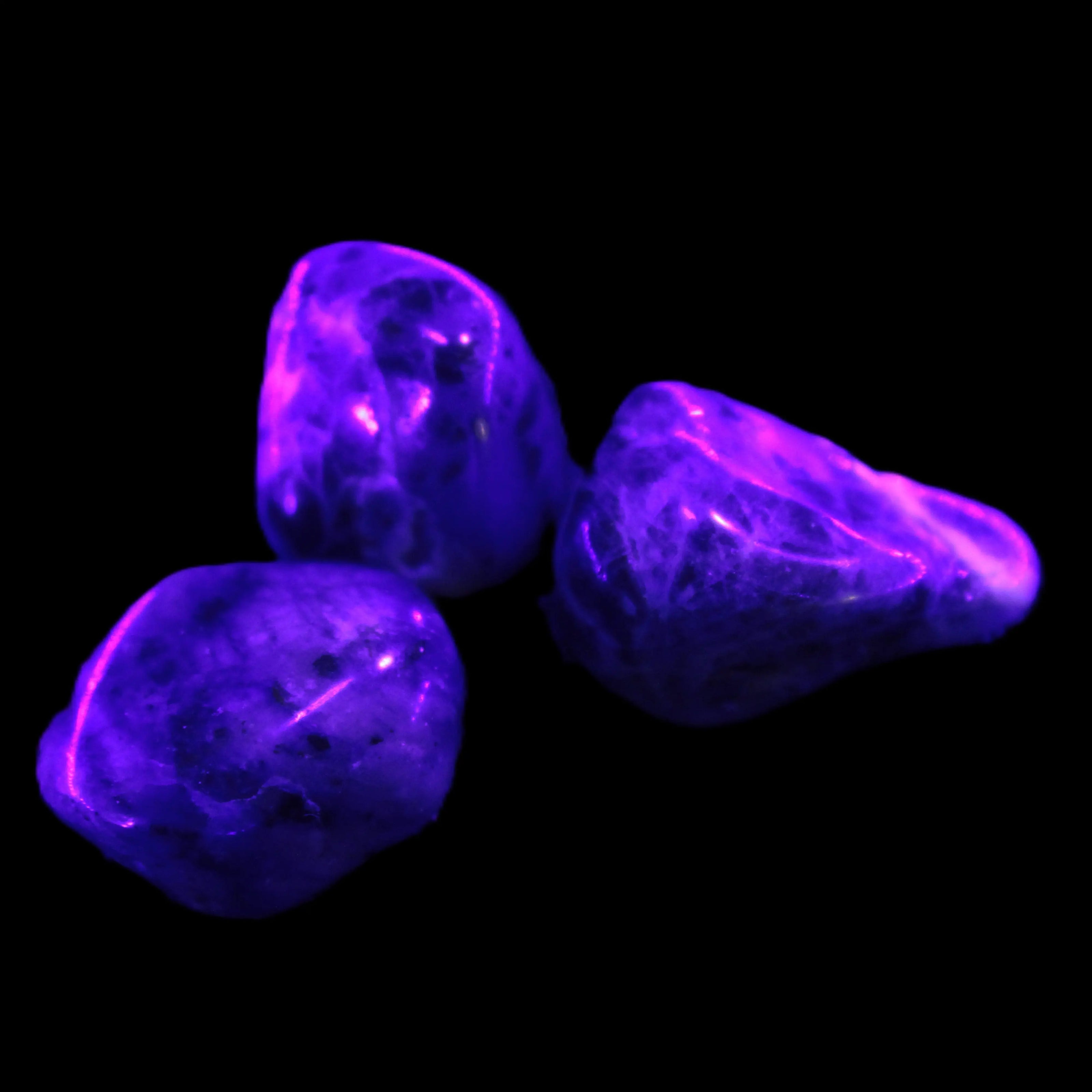 Sodalite 2/3 small polished stones 11-12g Rocks and Things