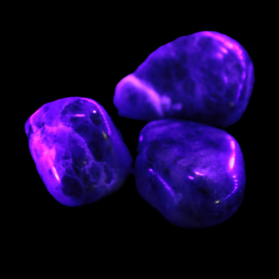 Sodalite 2/3 small polished stones 11-12g Rocks and Things