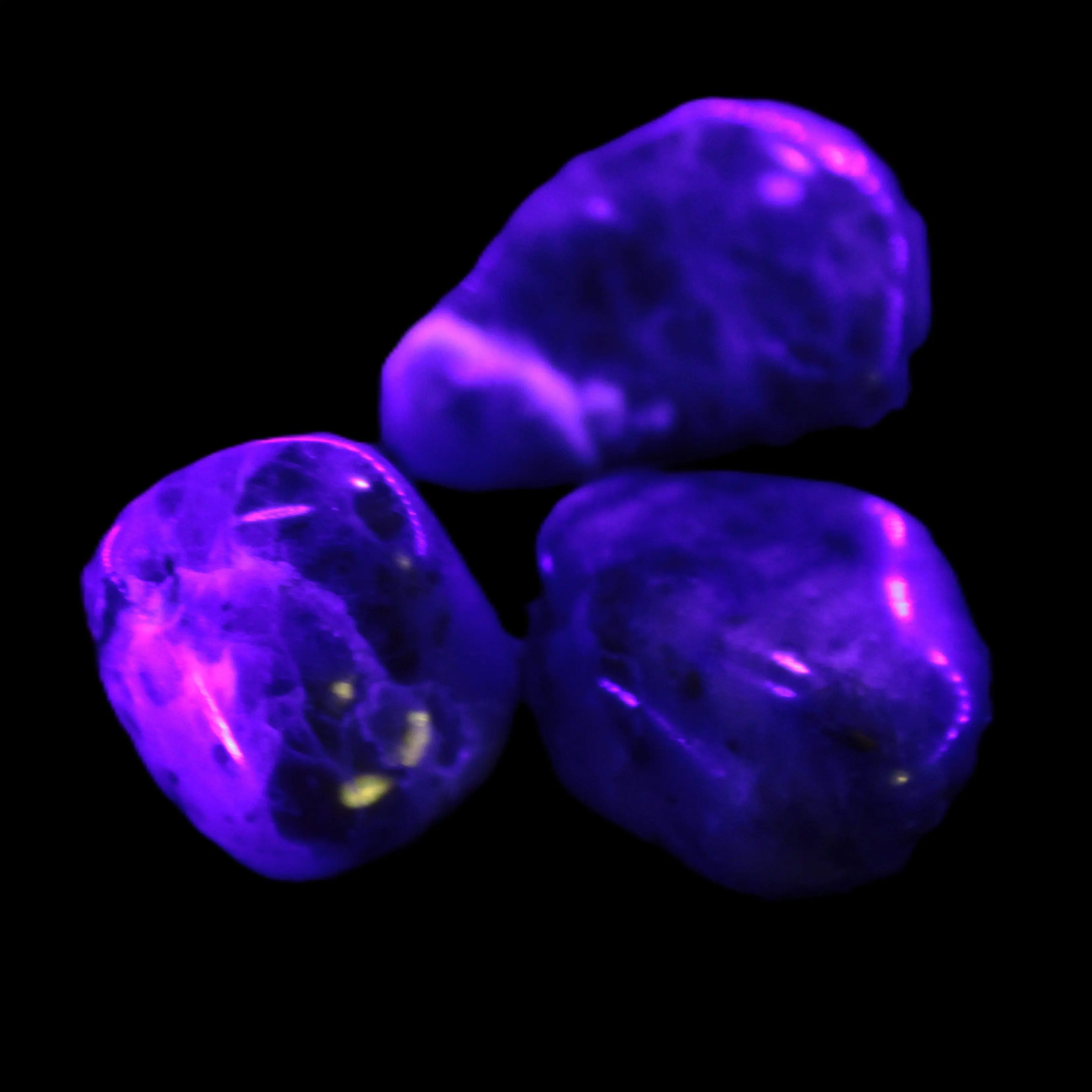 Sodalite 2/3 small polished stones 11-12g Rocks and Things