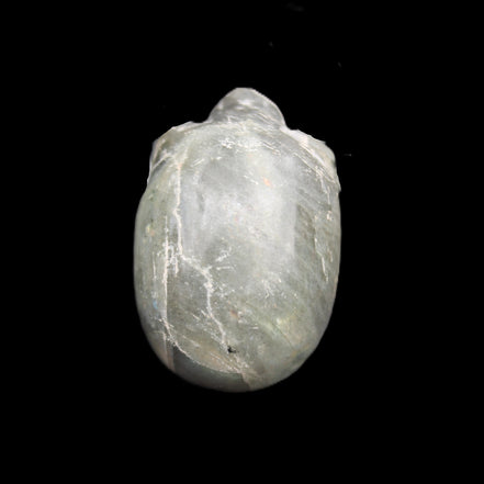 Labradorite skull 60g in sunlight - Rocks and Things Store
