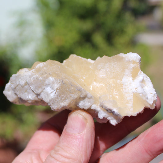 Awesome UV reactive Golden Yellow Calcite from Fujian, China 239g