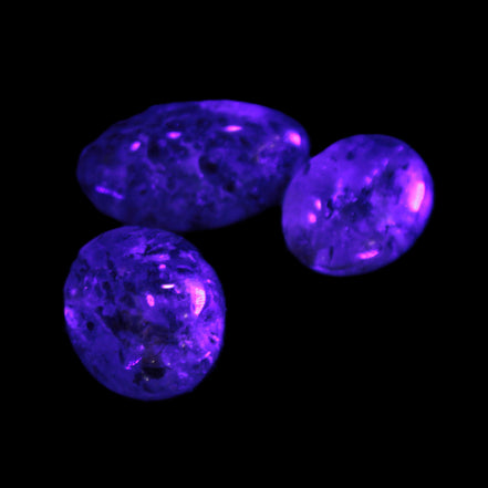 Biotite in Quartz 3 polished crystals 11-12g in UV light - Rocks and Things Store