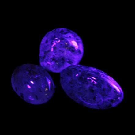 Biotite in Quartz 3 polished crystals 11-12g in UV light - Rocks and Things Store