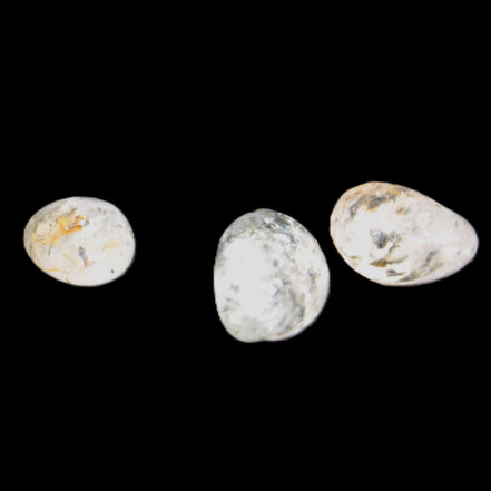 Biotite in Quartz 3 polished crystals 11-12g Rocks and Things