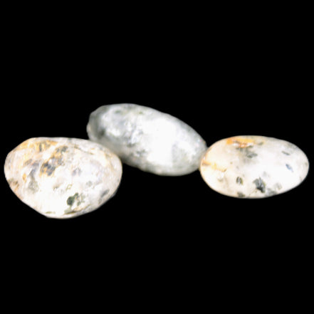 Biotite in Quartz 3 polished crystals 11-12g Rocks and Things