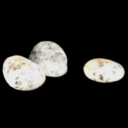 Biotite in Quartz 3 polished crystals 11-12g Rocks and Things